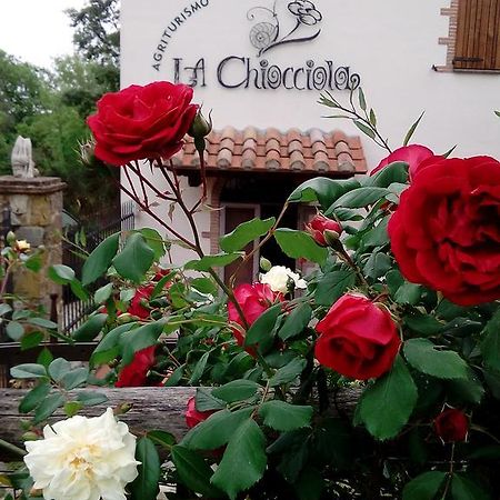 Agriturismo La Chiocciola Poggio Murella Kültér fotó