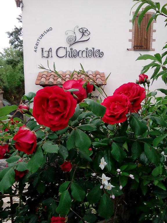 Agriturismo La Chiocciola Poggio Murella Kültér fotó