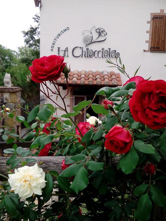 Agriturismo La Chiocciola Poggio Murella Kültér fotó