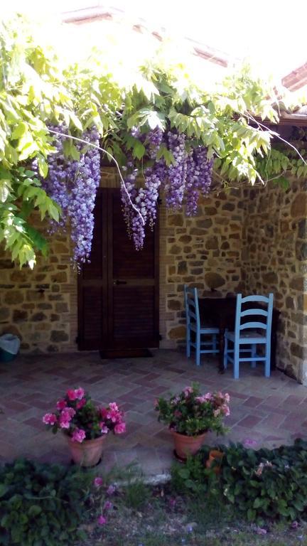 Agriturismo La Chiocciola Poggio Murella Kültér fotó