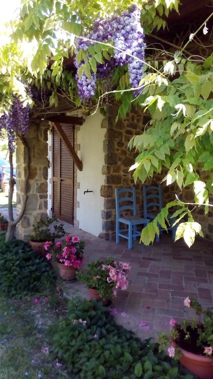 Agriturismo La Chiocciola Poggio Murella Kültér fotó
